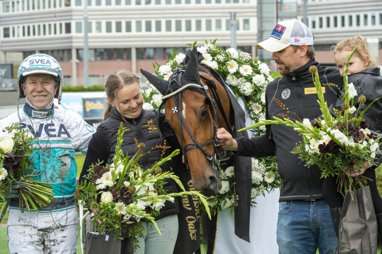 Axevalla 7 juni: Med en försmak av Stochampionatet