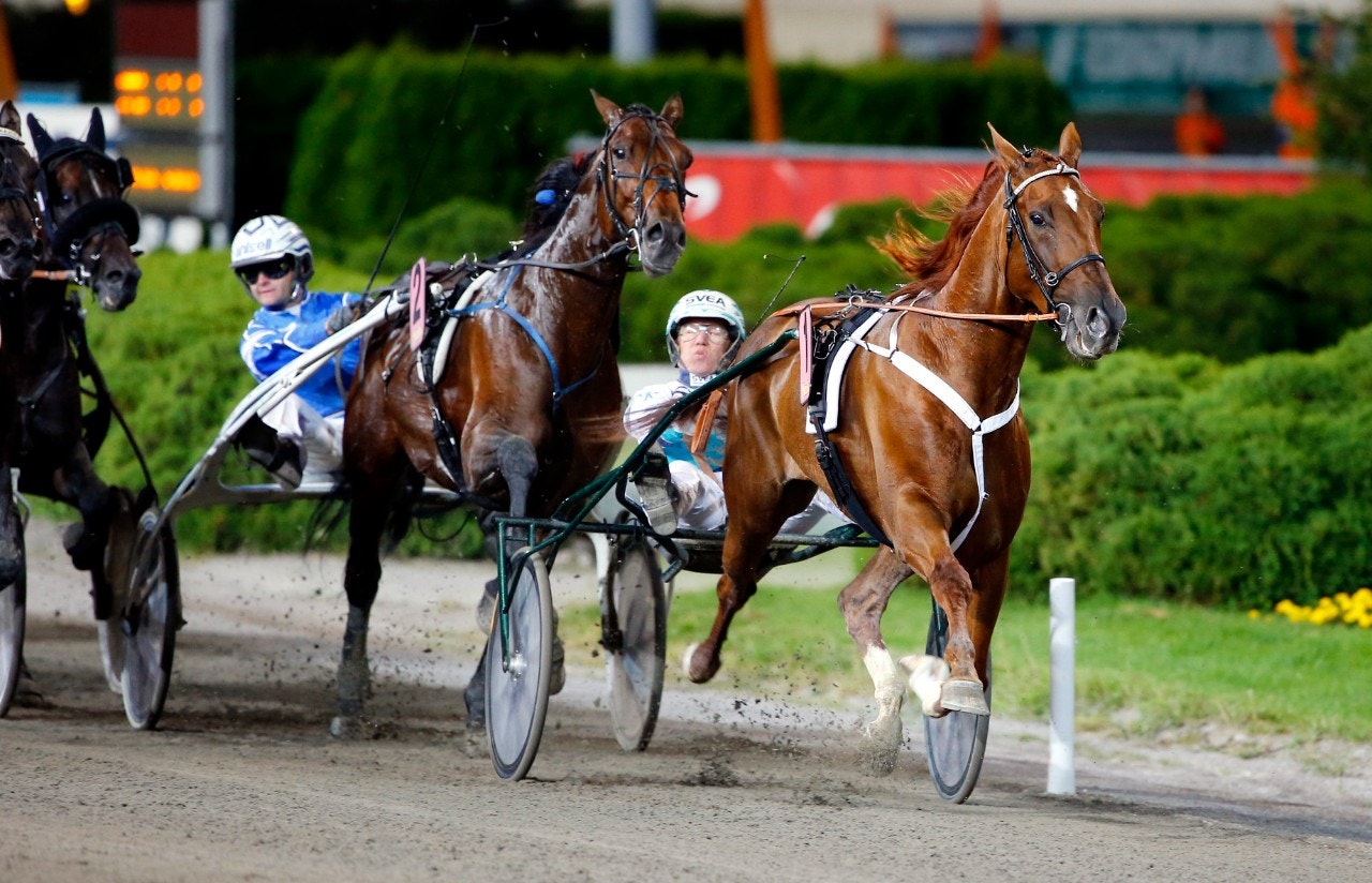 Nimbus C.D. ska ta sig an bland andra Missle Hill i Bergslagsloppet. Foto: Micke Gustafsson, ALN