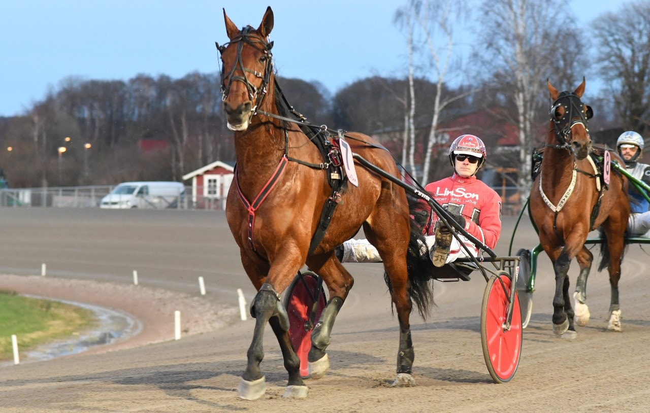 Niky Flax störtdök till seger på Vincennes