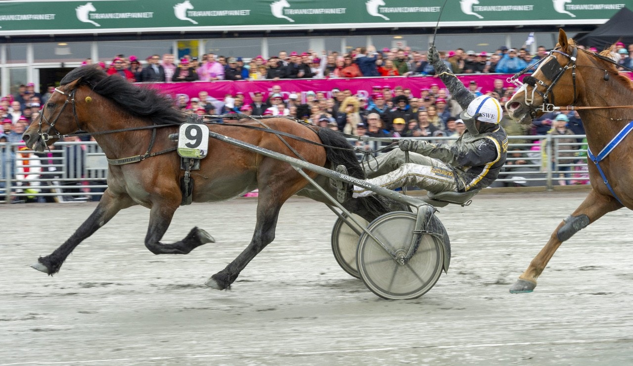 Efter Elitkampen - Tangen Haap jagar guld i Finland