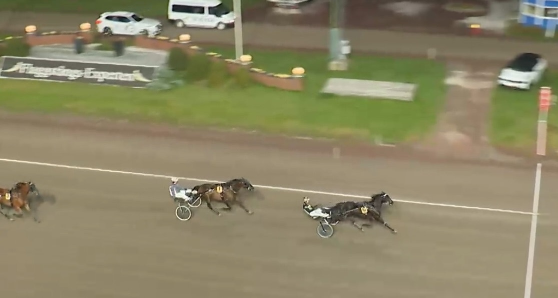 Van Gogh O. byter regi