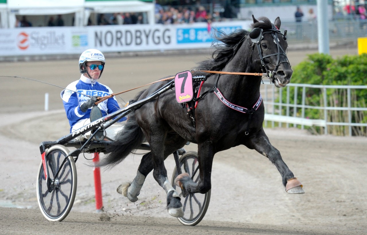 Norske Odd Herakles gick inte att stoppa i Nordic King.  Foto: ALN