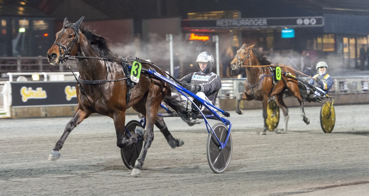 Hail Mary löste årsdebuten på Bergsåker. Foto: Tommy Andersson, ALN