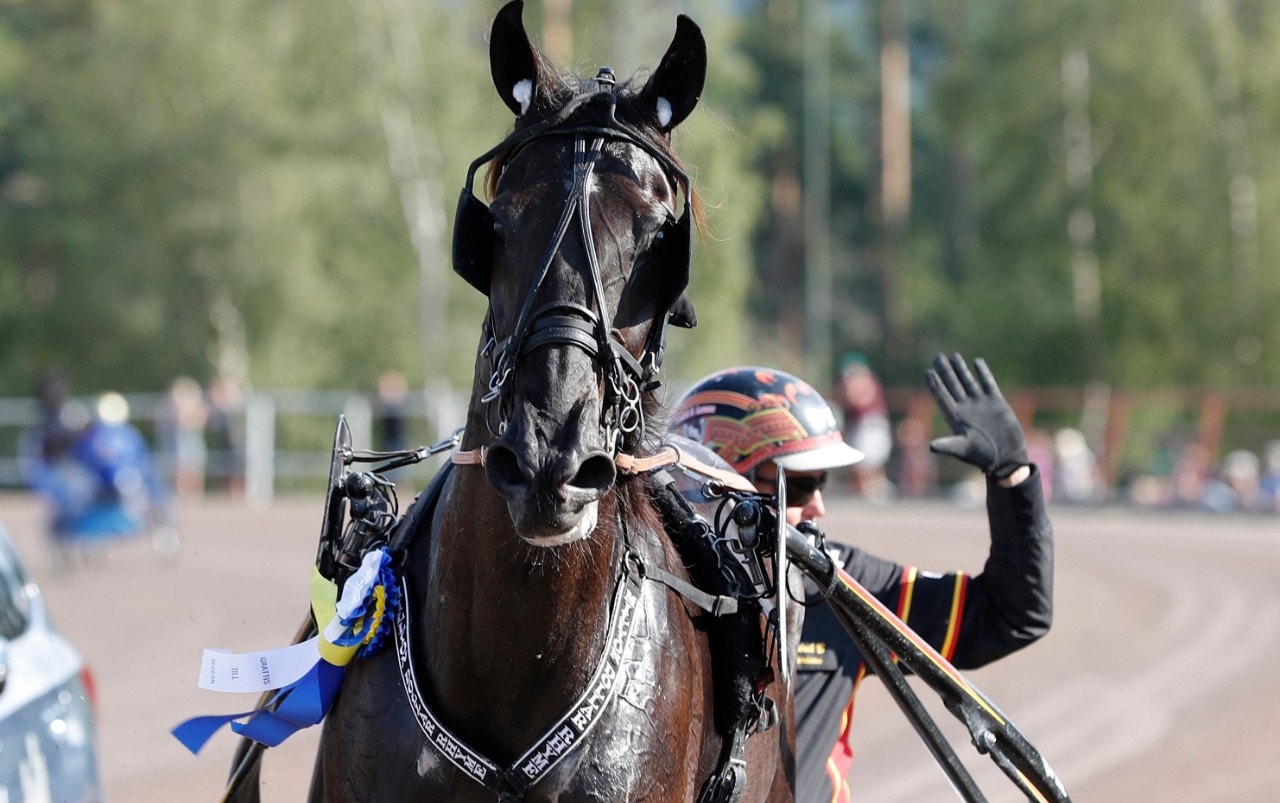 Milliondollarryhme (bilden) och Sorbet är klara för Paralympiatravet. Foto: Micke Gustafsson, ALN