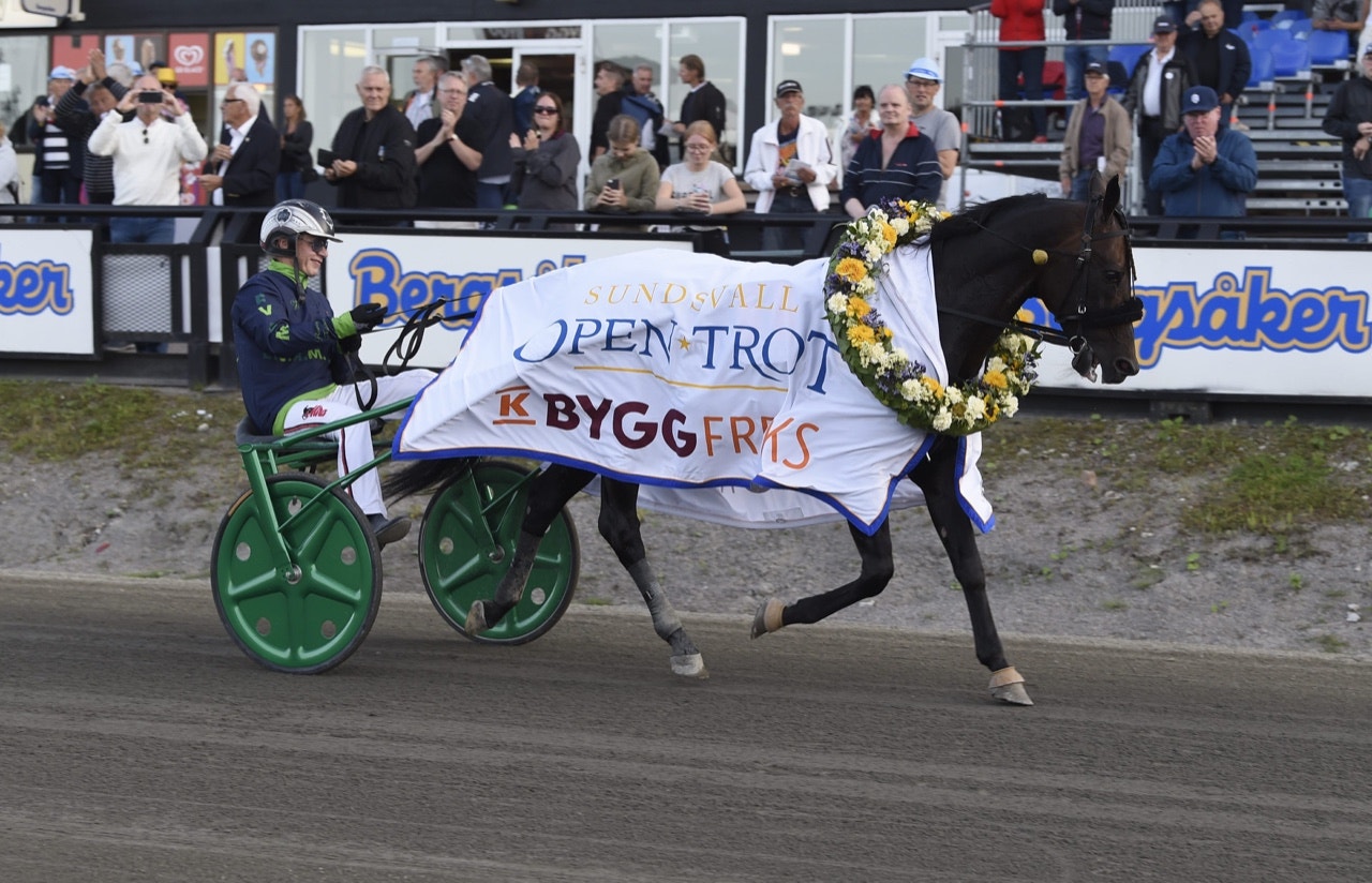 Ringostarr Treb är tillbaka på tävlingsbanan - Foto: ALN