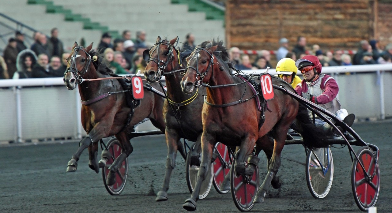 Gotland vid en tidigare seger. Foto: Gerard Forni, Scoop Dyga