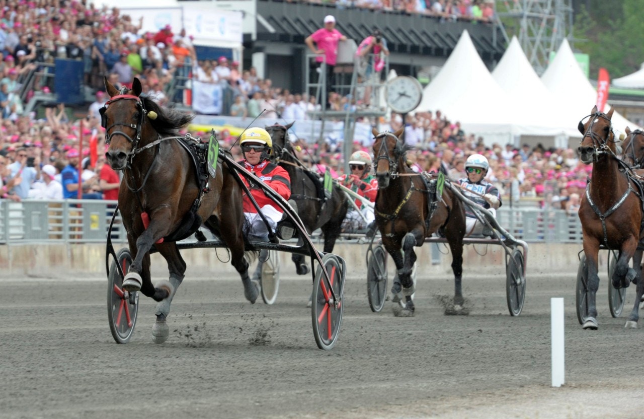 Bold Eagle möter Looking Superb i Frankrike