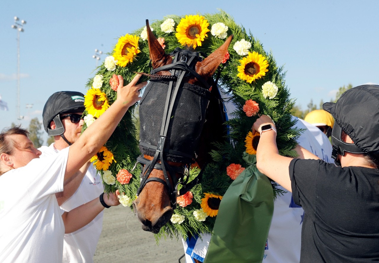 Treåringar siktar mot stjärnorna