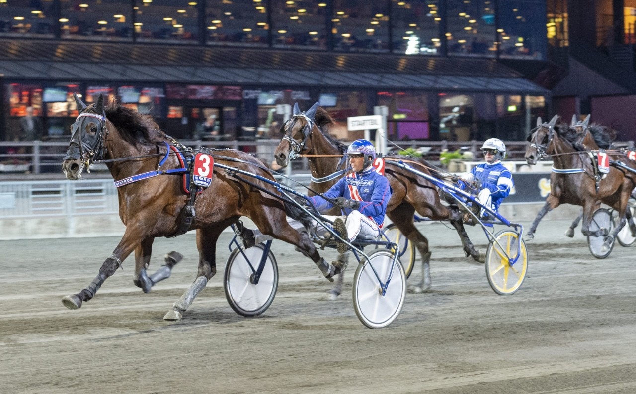 Fantaghiro Brick löfte från Nyström