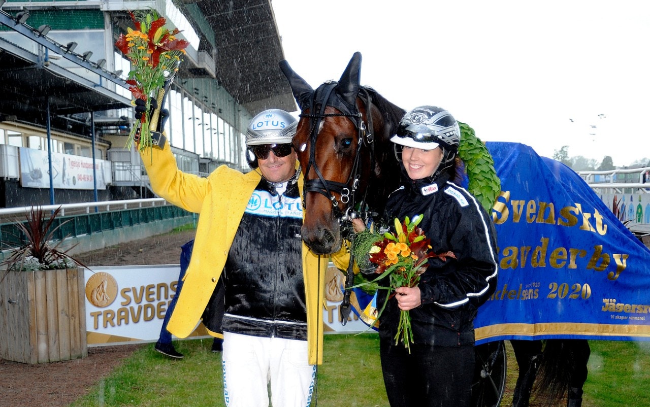 Derby-vinnaren Hail Mary finns med bland hingstarna som ska visas upp. Foto: Jörgen Tufvesson, ALN