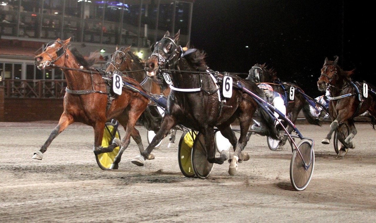 Gandalf Jaam och Jonas Moberg vinner på Romme. Foto: Thomas Gustafsson, ALN