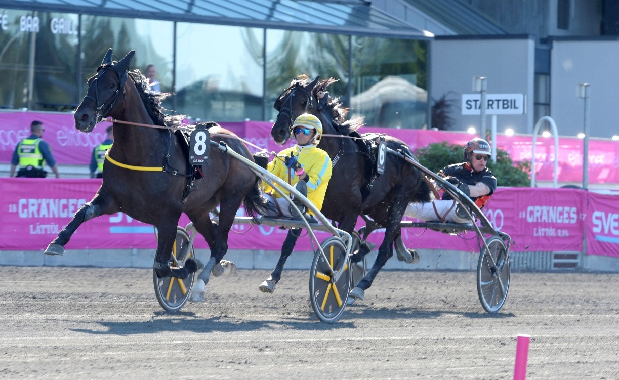 Earl Simon behöver mer tid på sig och kommer stå över vintermeetinget. Foto: Leif Norberg, ALN