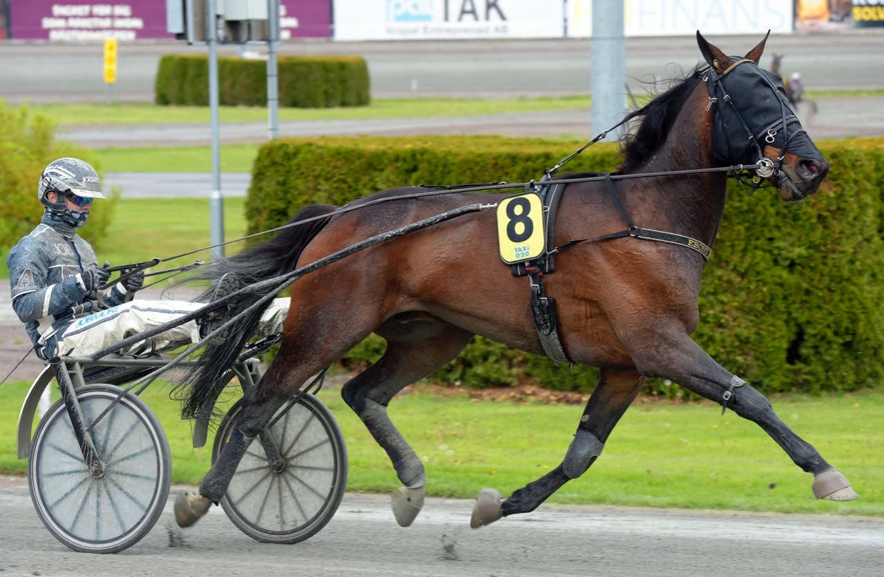 Vi tror på spets och slut för Ebony Boko - Foto: ALN