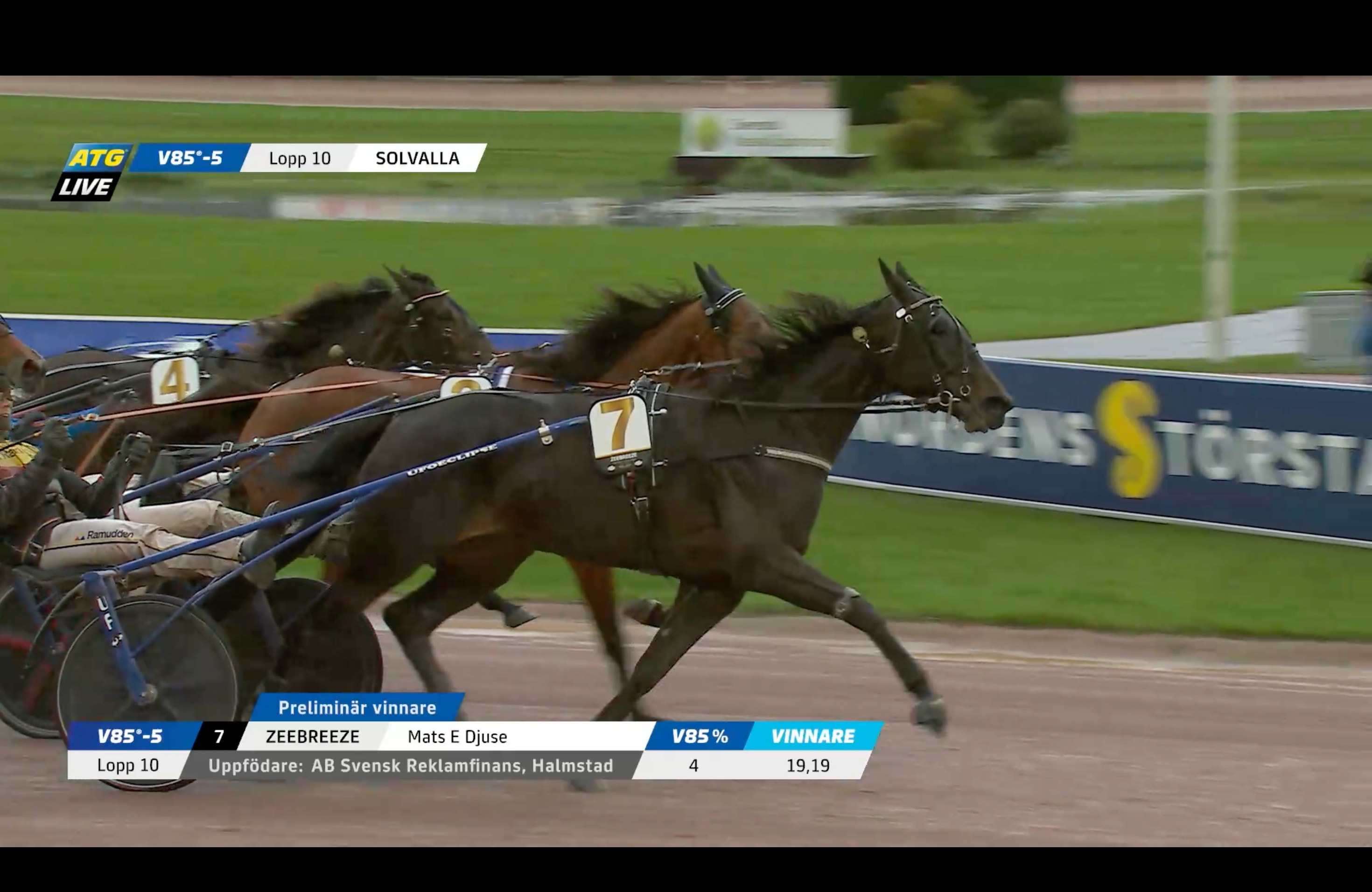 Tre travhästar med kuskar i sulkyer i full fart på en travbana under ett lopp. Hästen i täten har startnummer 7.