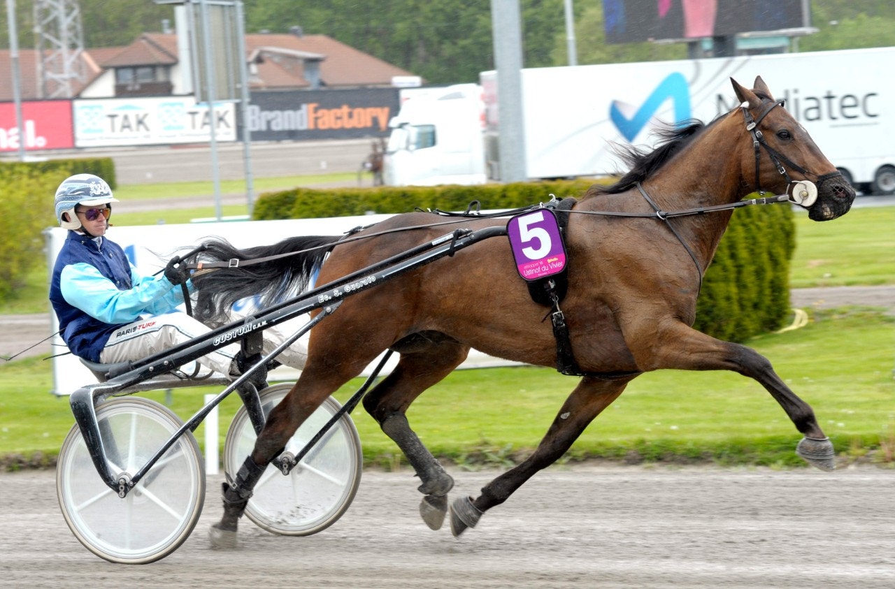 Ustinof du Vivier i en värmning inför Elitloppet 2015. Foto: Martin Langels, ALN