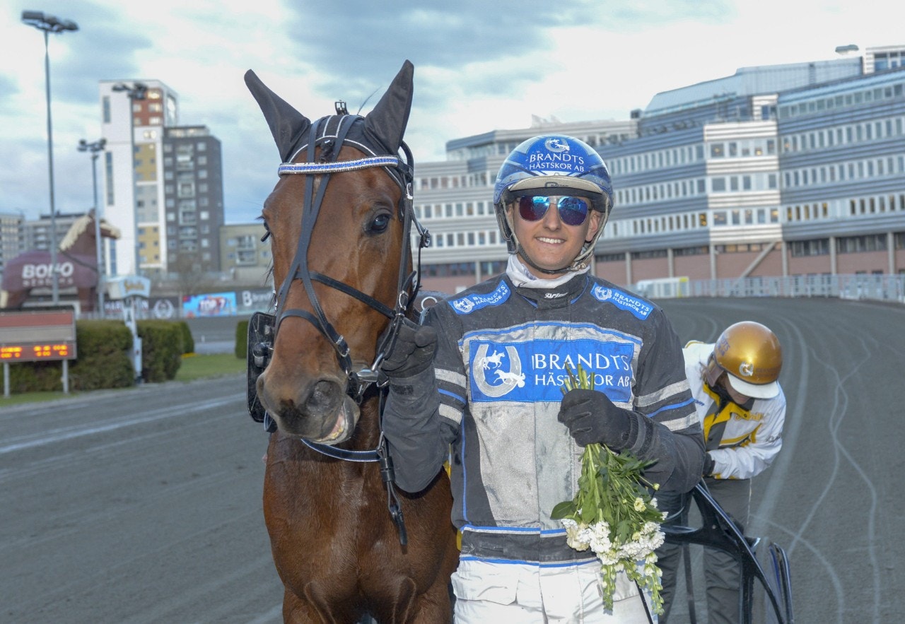 Jägersro/Solvalla 11 september: My Tambourine Man löser uppgiften