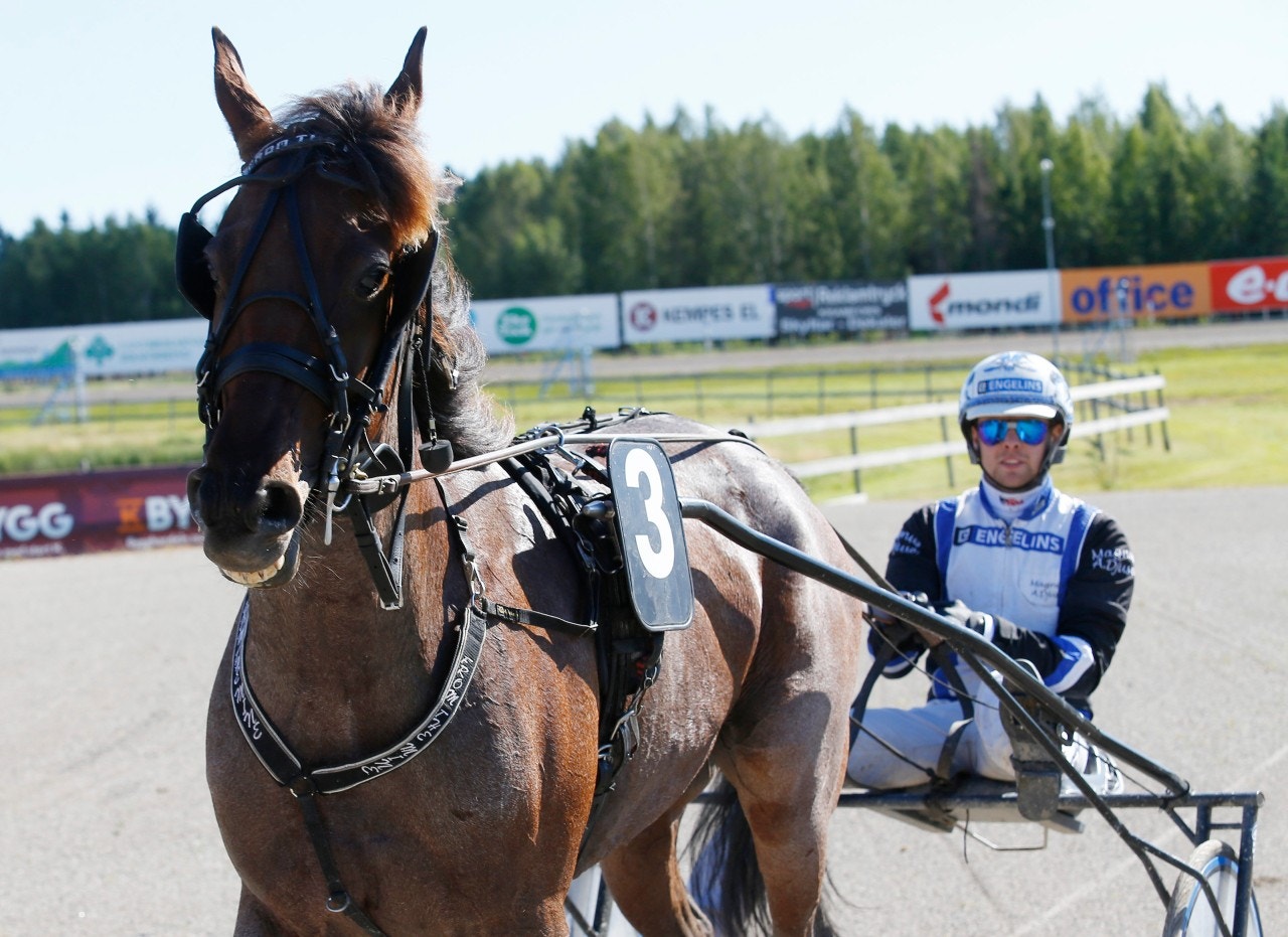 From the Mine lämnar återbud - drabbad av kolik