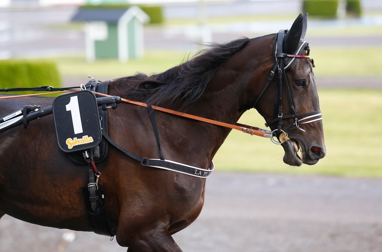 Jägersro 9 mars: Mitt spel är en plus-variant