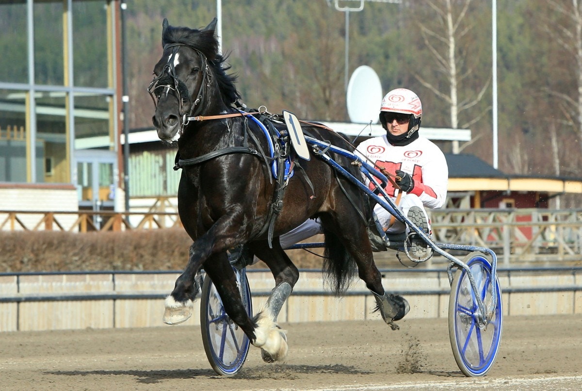 Dannero: Ulvsåsen - fortsatt obesegrad