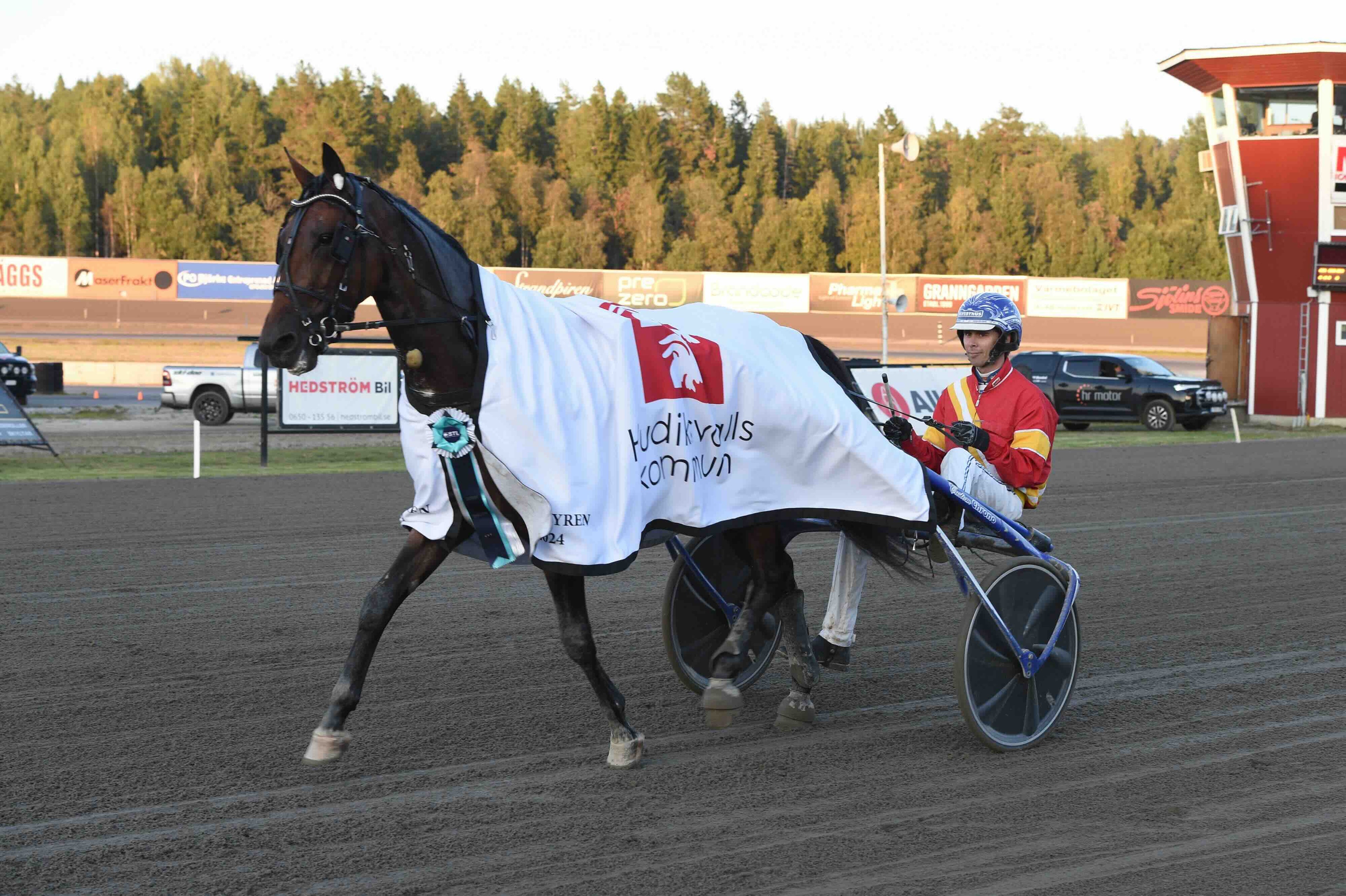 Trots namnet – Wäjerstens V75-stjärna till salu