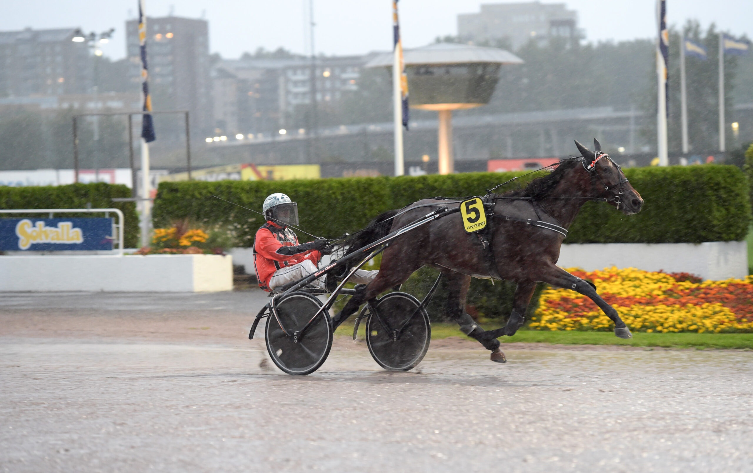 Foto: Lars Jakobsson/TR Bild