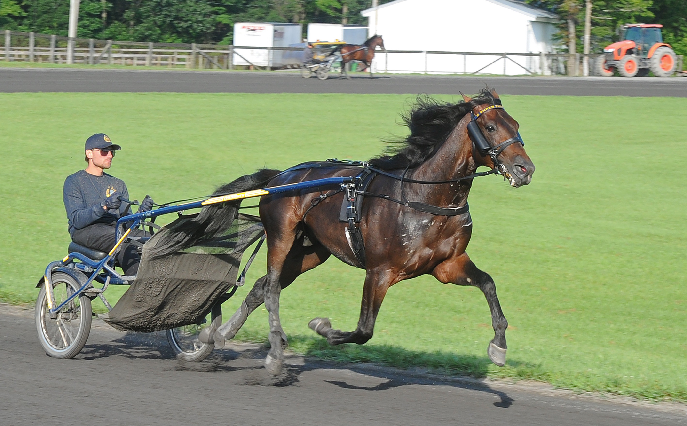 Skrällen: Topphästen fortsätter tävla 