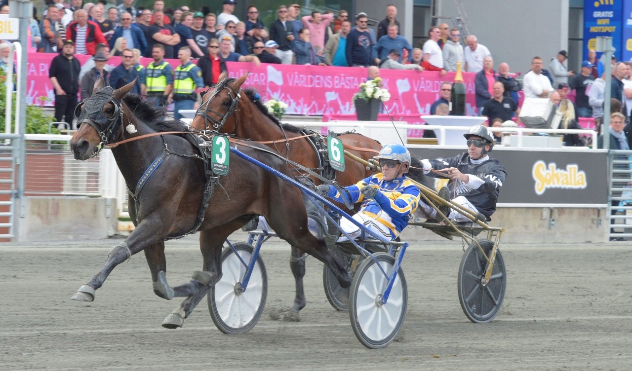 Ulf Ohlsson tog en seger och ligger i topp efter första dagen av Kusk-VM. Foto: ALN