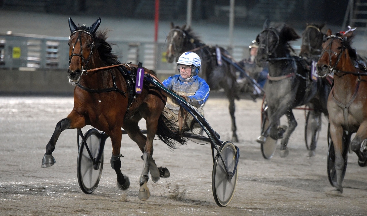 Marion Fouty Bon var en av vinnarna i Margaretas Tidiga Unghästserie - Foto: ALN