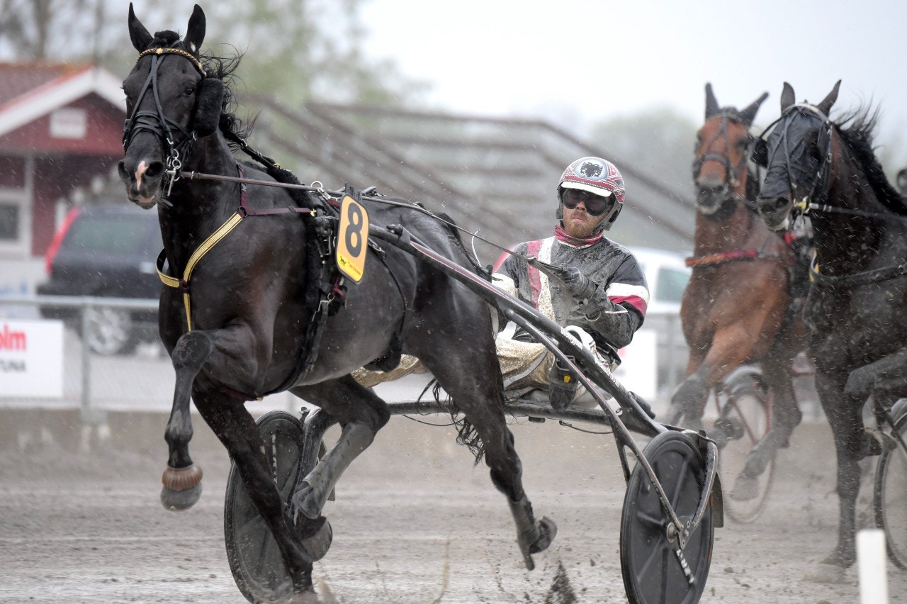 Smokin Joe fortsätter karriären i Norge. Foto: Martin Langels, ALN