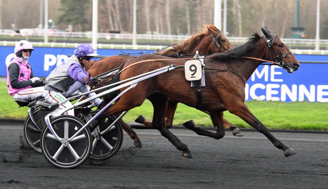 Helgafell är en av den franska treåringskullens största talanger. Foto: Gerard Forni, Scoop Dyga