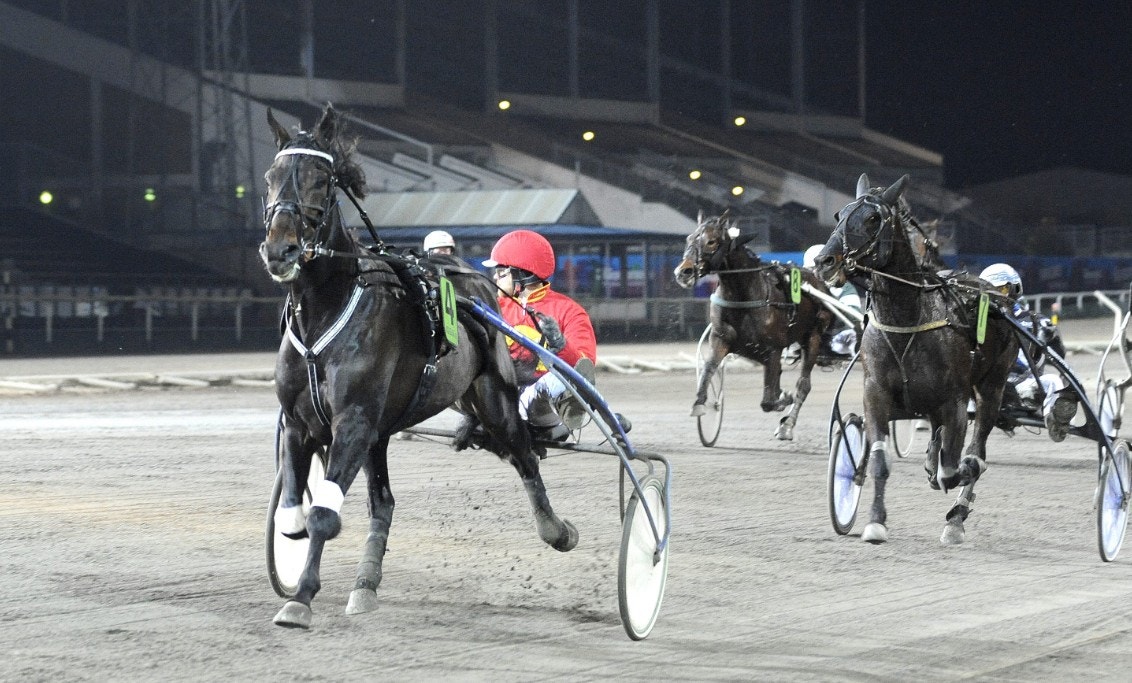 Jägersro/Solvalla 18 september: Franklin Face är spelet!