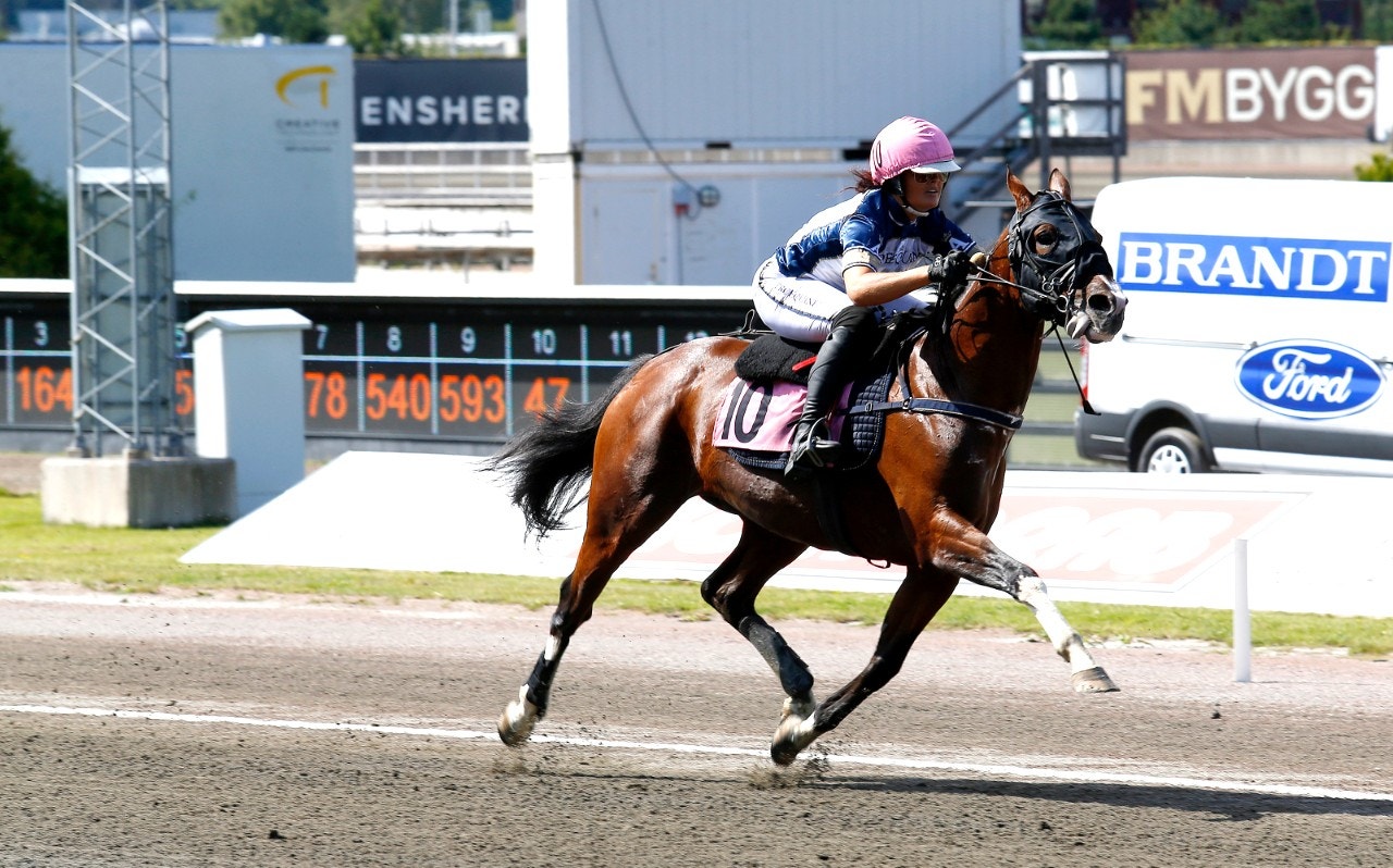 Rajesh Face debuterar under sadel på Vincennes. Foto: Hanold, ALN