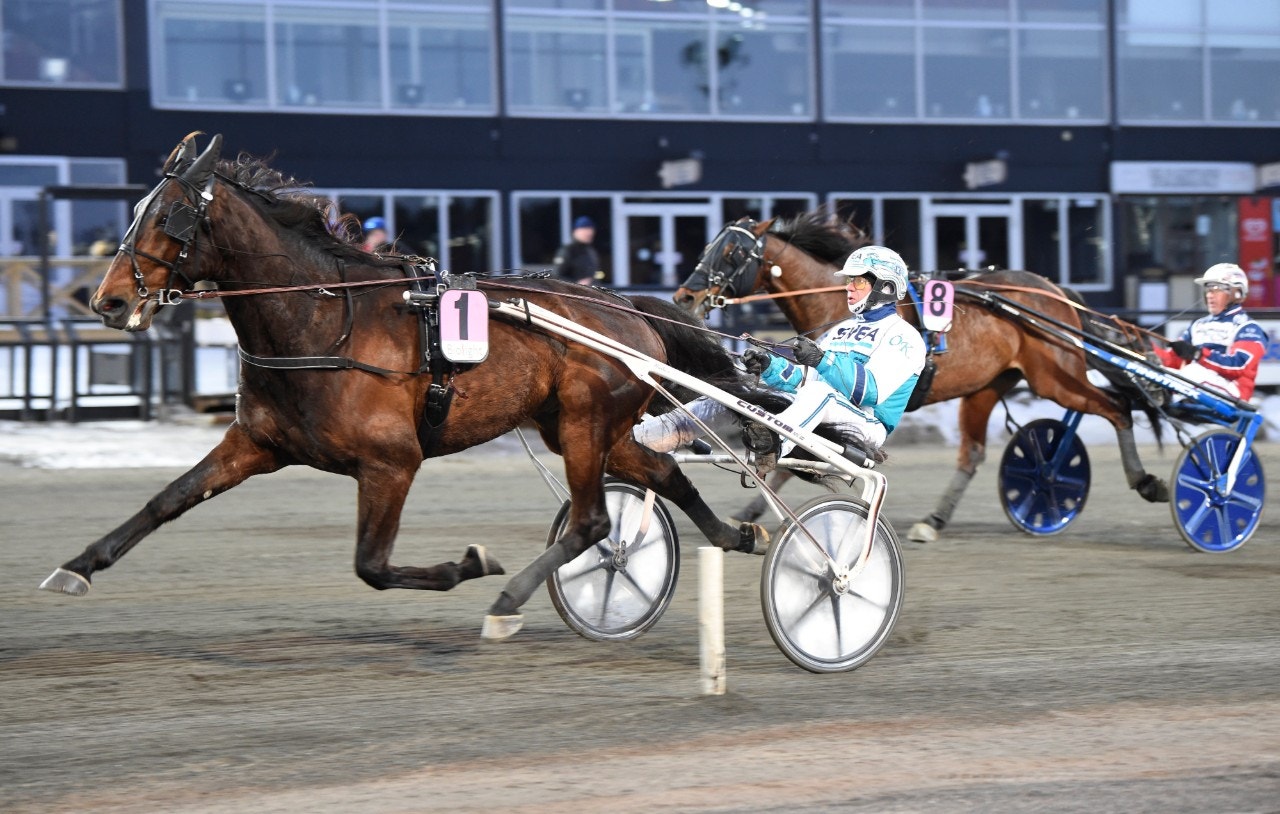Vi tror på tredje raka för Coogan. Foto: Christer Norin, ALN
