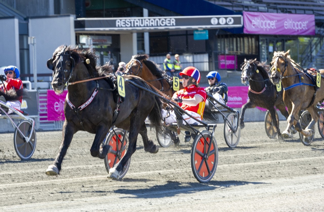 Odd Herakles har inte varit i närheten av förlust i år. Foto: Tommy Andersson, ALN