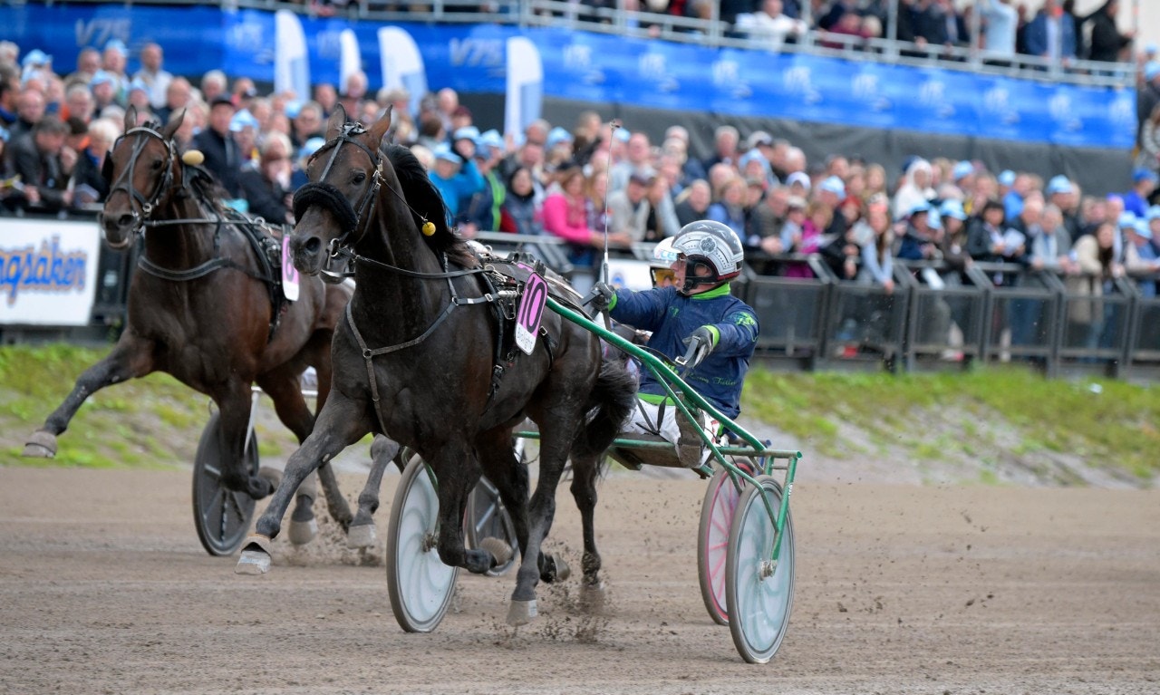 Ringostarr Treb vid segern i Sundsvall Open Trot för två år sedan. Han återvänder i år. Foto: Martin Langels, ALN