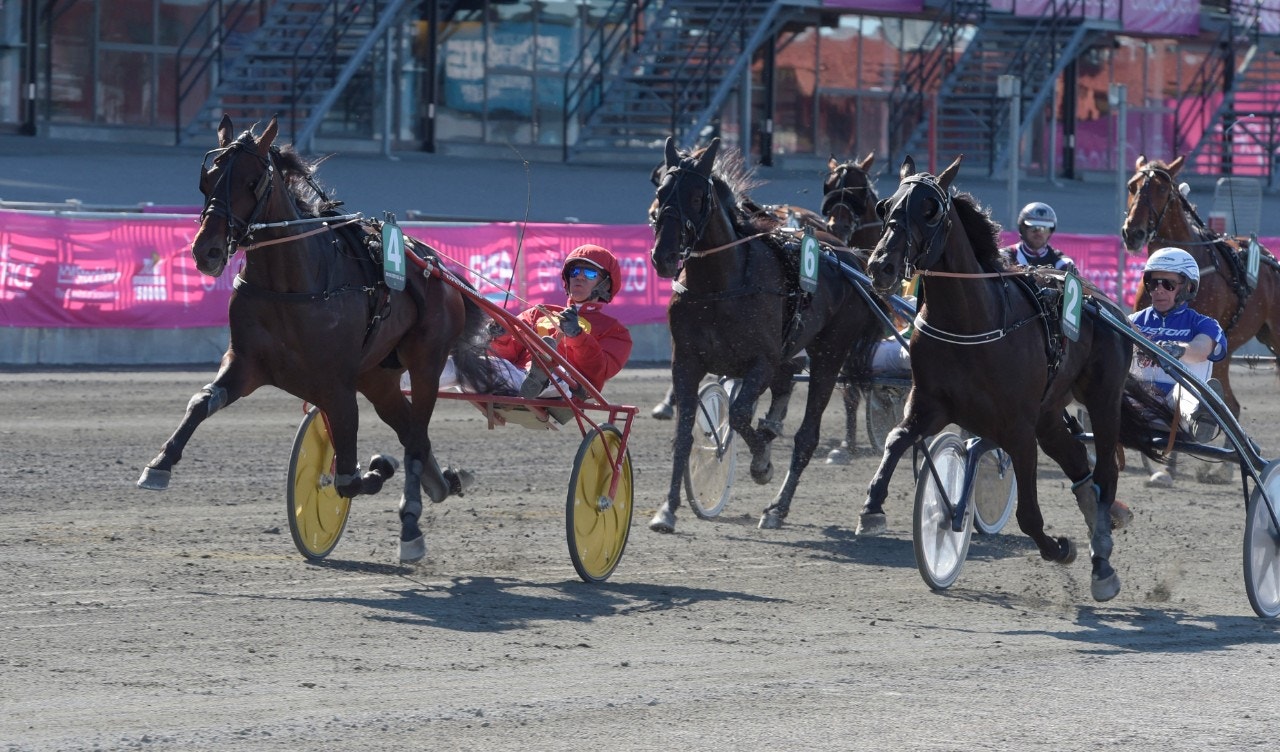 Fortsatt succé för Hell Bent For Am. Foto: Leif Norberg, ALN
