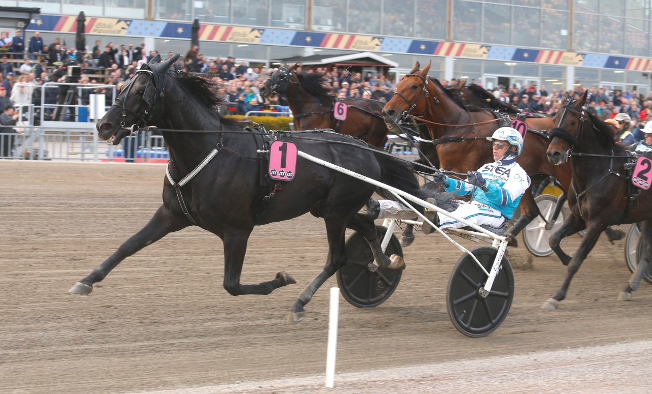 Sorbet vid segern i Prins Daniels lopp förra året. På tisdag gäller årsdebut. Foto: Hanold, ALN