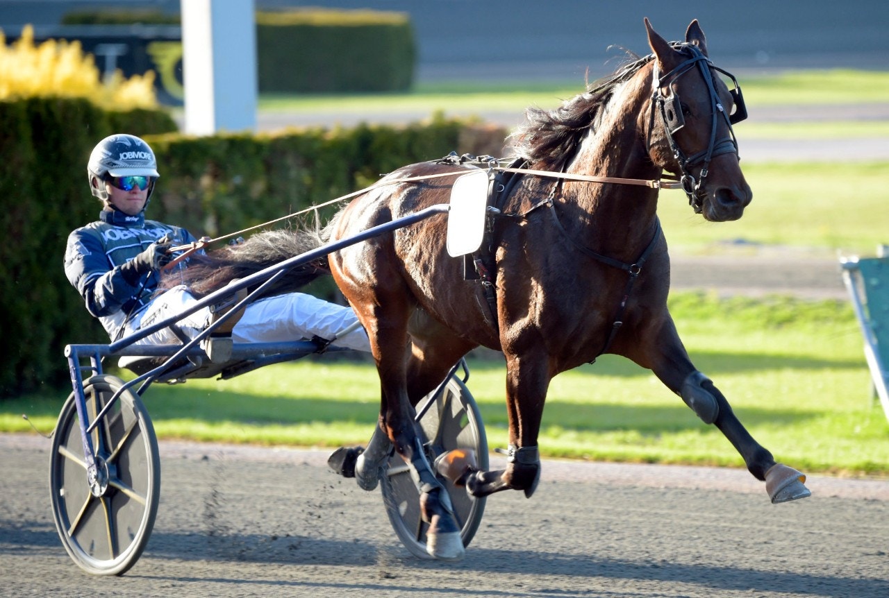 Halmstad 18 maj: Fina lopp med fem vinnarspel