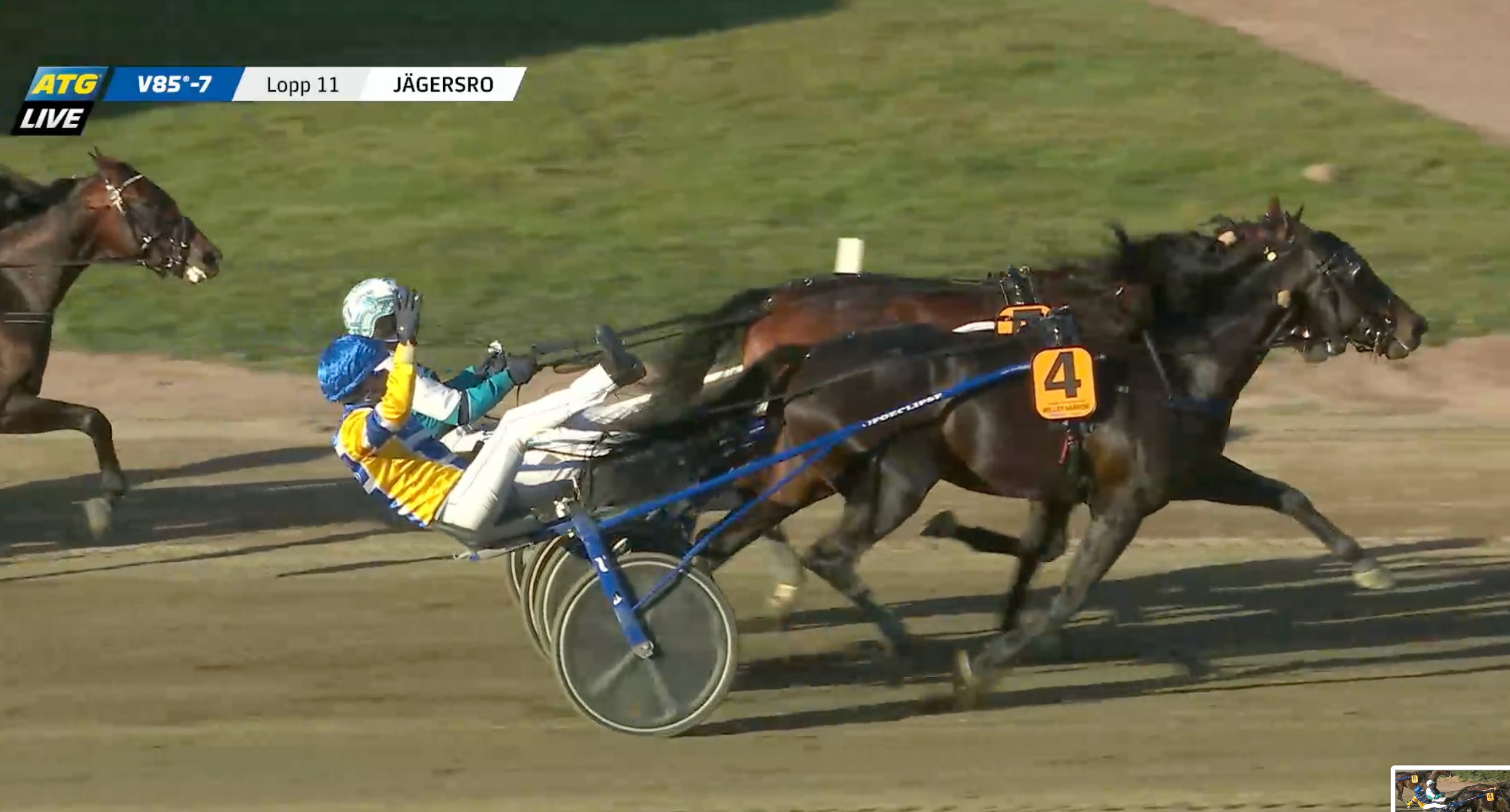 En svart häst med kusken i gul och blå tävlingsdräkt kör sulky under ett travlopp. Hästen är nummer 4 och tävlingen sänds live på TV.