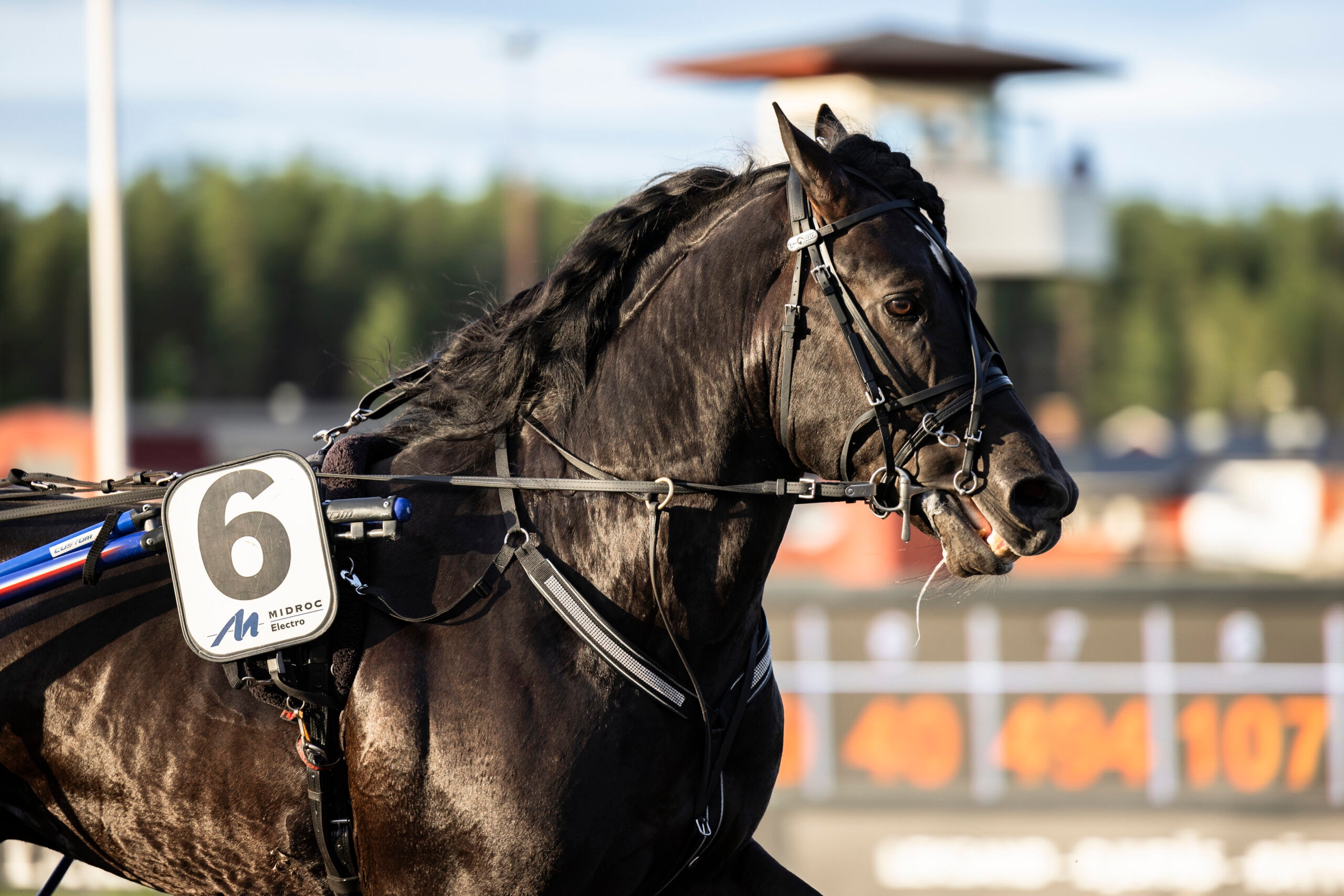 Foto: Lena Emmoth/TR Bild.