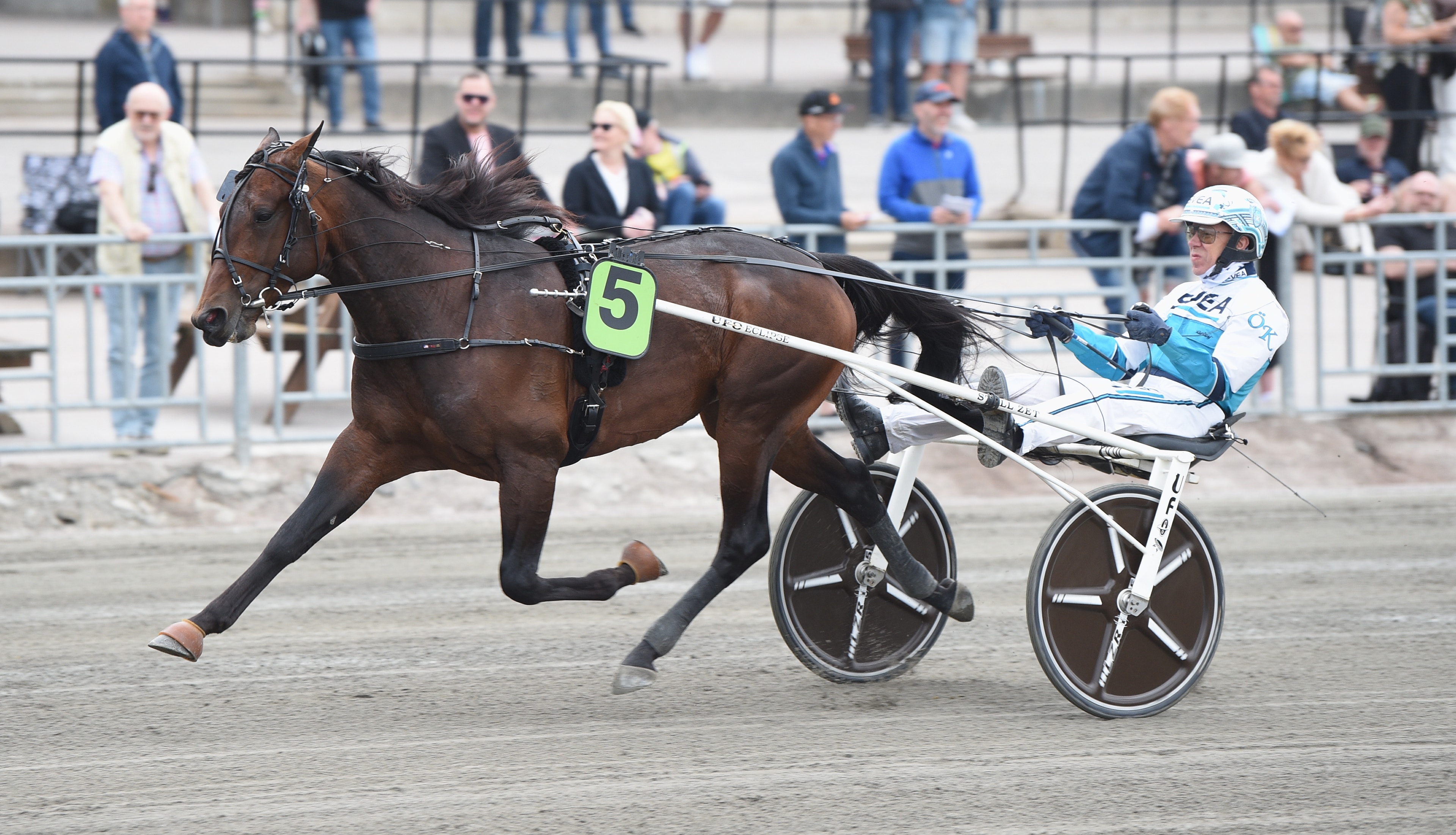 Redéns oväntade lilla och stora dröm