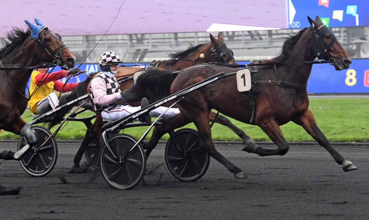 Colonel avgör till enkel seger på Vincennes. Foto: Gerard Forni, Scoop Dyga