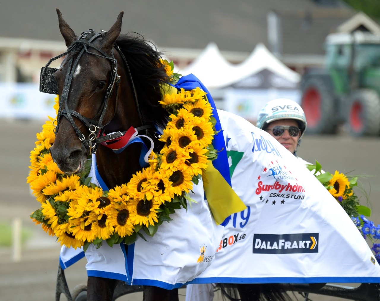 Aetos Kronos fick sin Vincennes-seger. Jerry Riordans klippare drog längsta strået i Prix Bold Eagle. Foto: Martin Langels, ALN