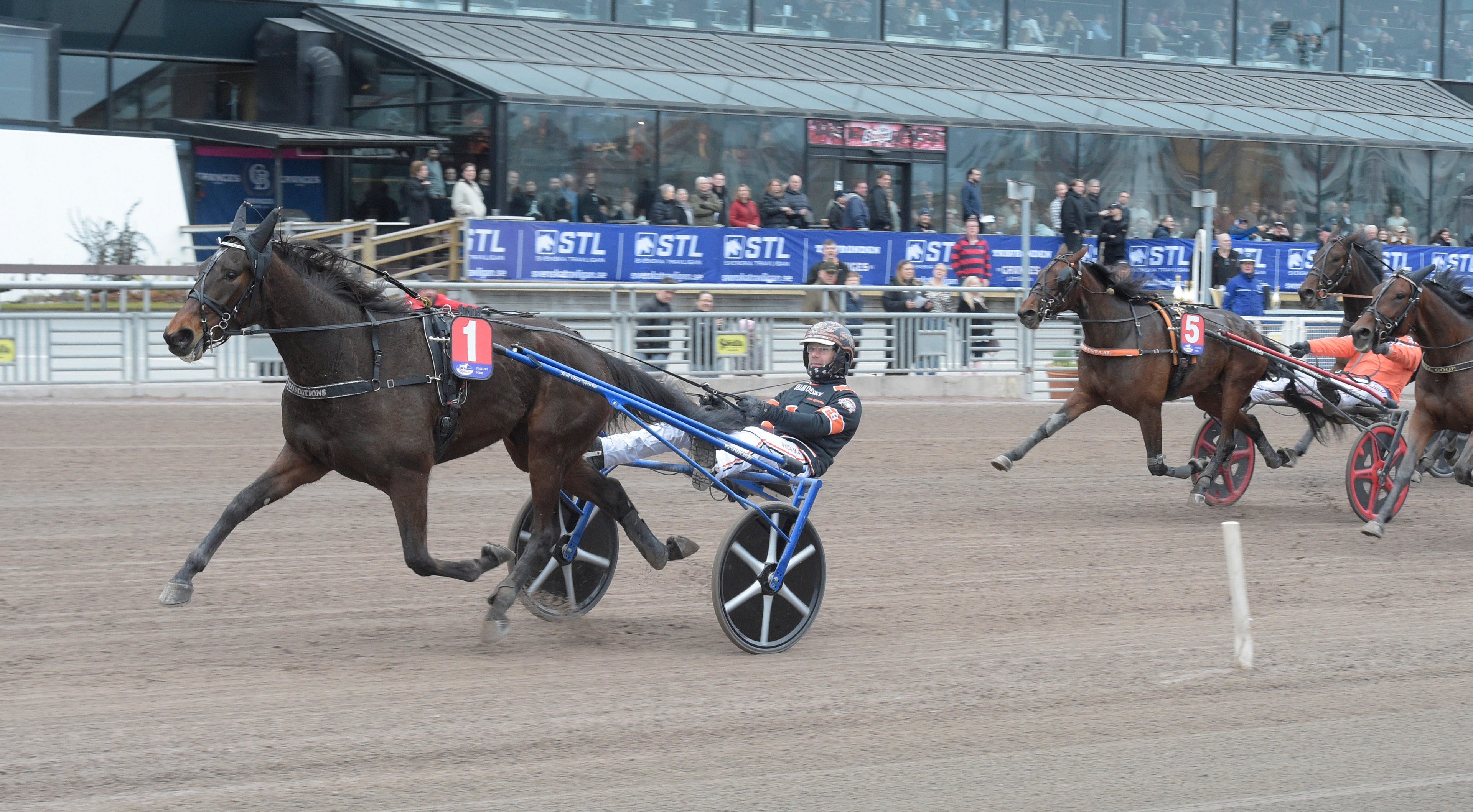 En mörkbrun travhäst drar en sulky med en kusk i mörka kläder längs en sandbana framför en läktare. Fler hästar och kuskar syns bakom i loppet.

Foto: 