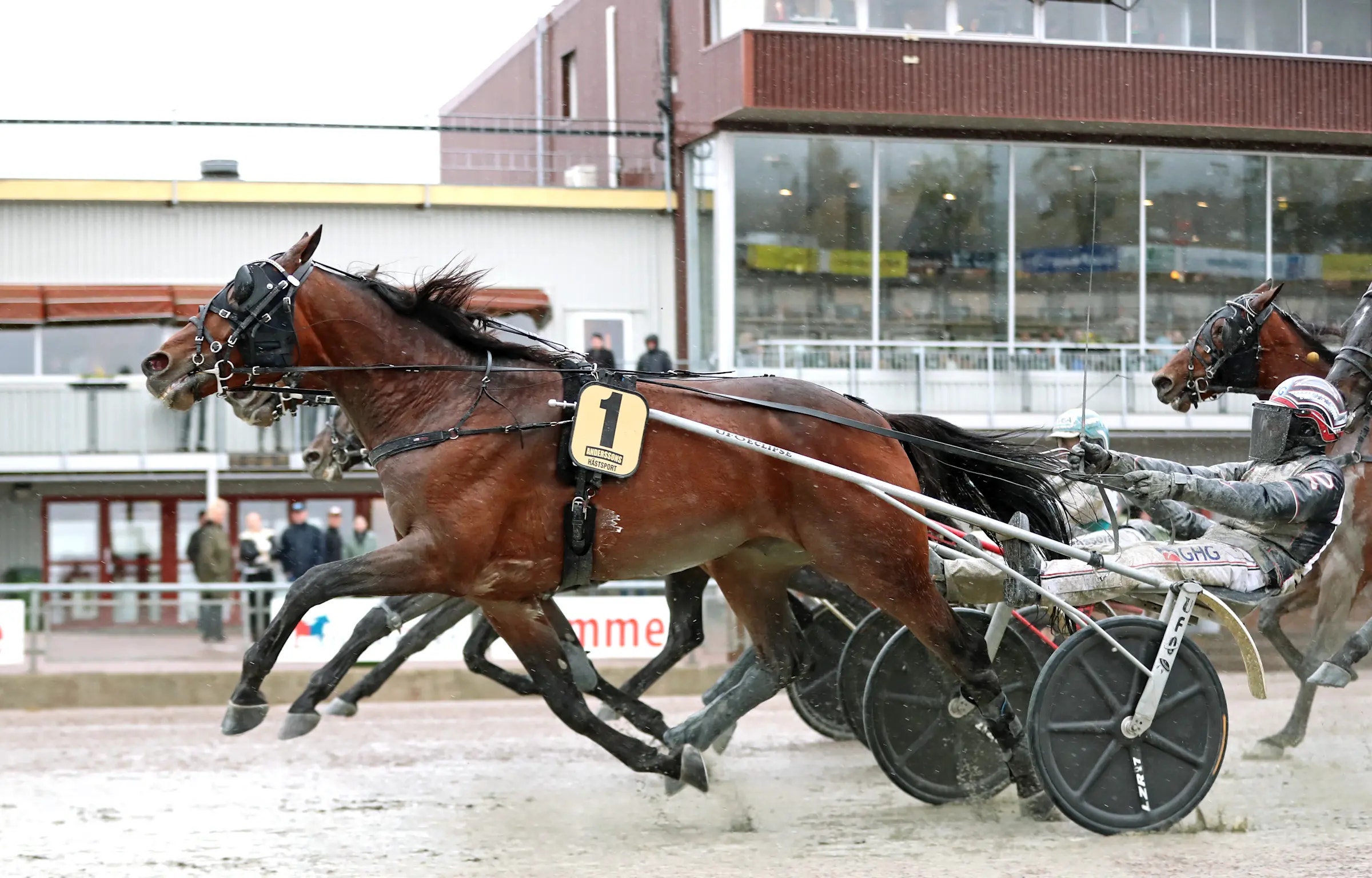 Inför V85: Norsk optimism
