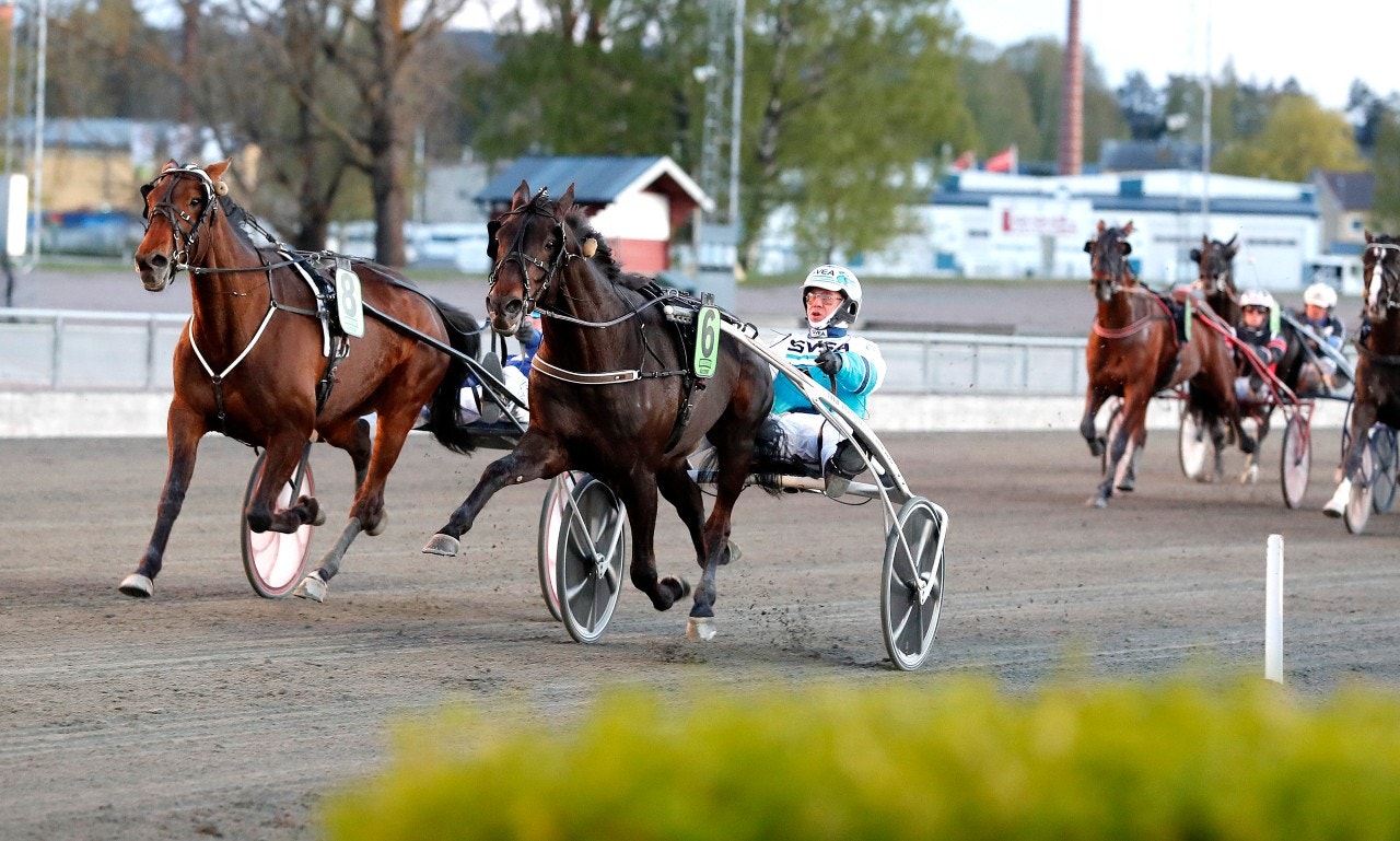 Vi tror på Messiah i långloppet. Foto: Micke Gustafsson, ALN