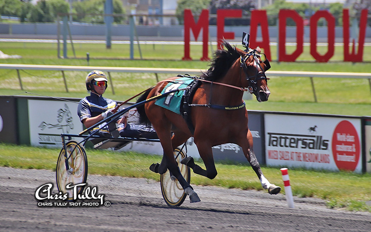 Marcus Melander bidrar med Gimpanzee i Yonkers Trot. Foto: Chris Tully, christullytrot.com