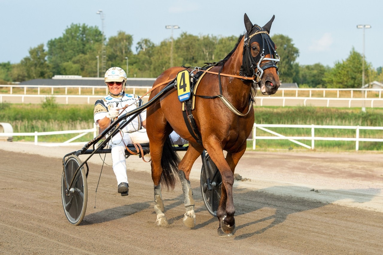 Good Vibes förlänger segerraden i Breeders Course-finalen? Foto :Mikael Rosenquist, ALN