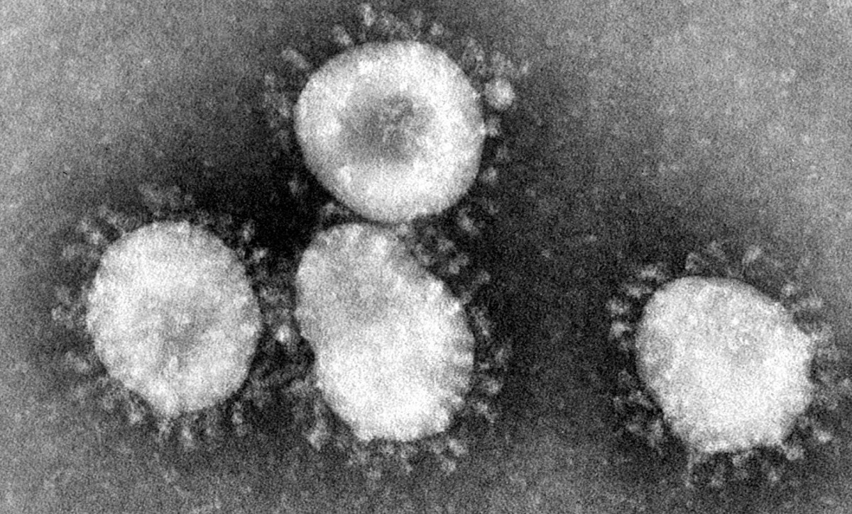En stor del av travsporten i världen ligger nere efter pandemin. Foto: Wikimedia Commons, the CDC/US Goverment