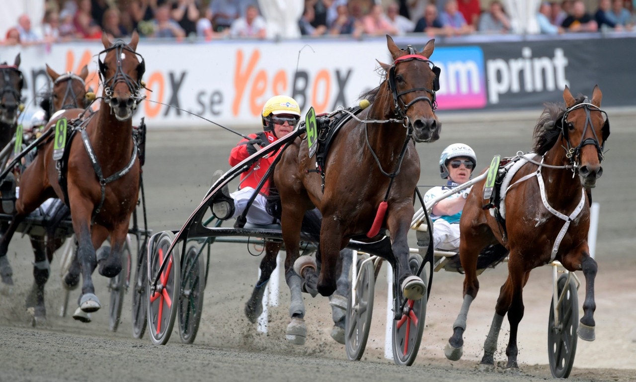 USA-turné för Bold Eagle?